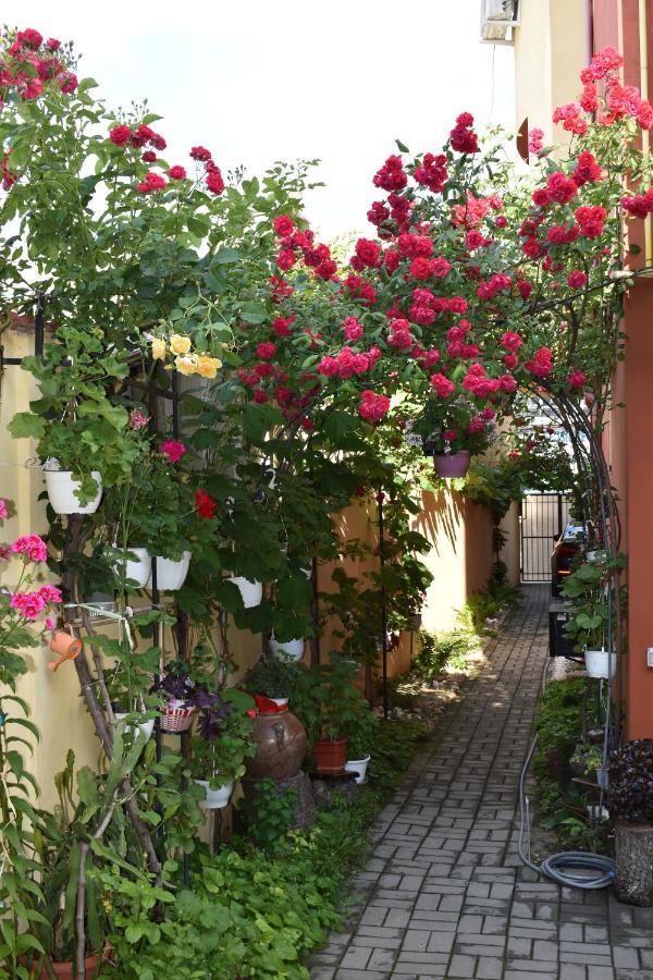 Casa Mara Daire Tulça Dış mekan fotoğraf